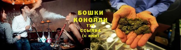 гидра Аркадак