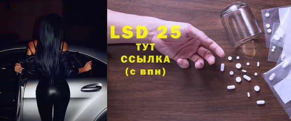 гидра Аркадак