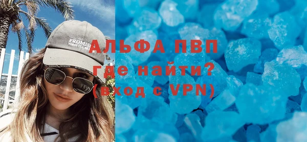 индика Алексин