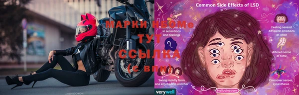 гидра Аркадак