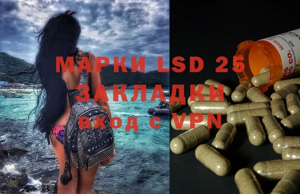мяу мяу мука Арсеньев