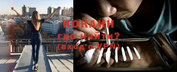 гидра Аркадак