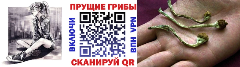 Галлюциногенные грибы мухоморы  Шелехов 